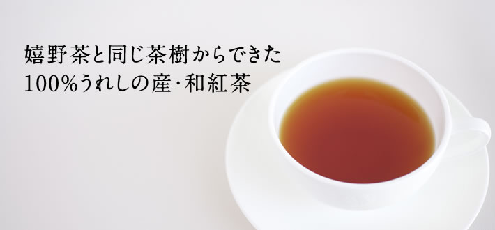 嬉野茶と同じ茶樹からできた100％うれしの産・和紅茶。